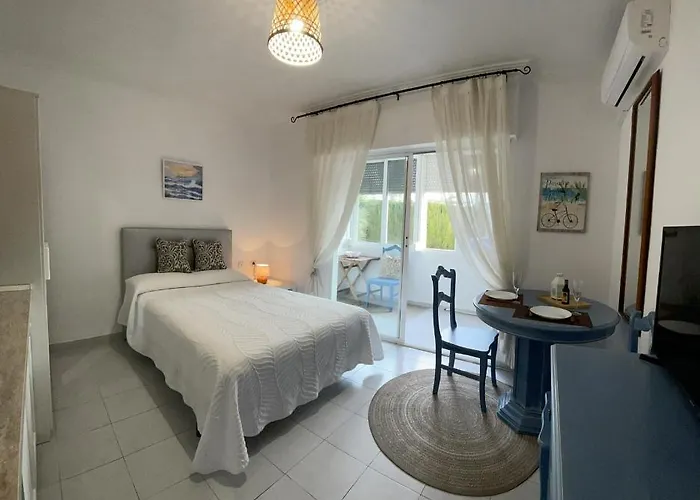 In The Sun Torrevieja